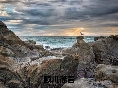 顾川简言(简言顾川)全文免费阅读无弹窗大结局_(顾川简言)最新章节列表