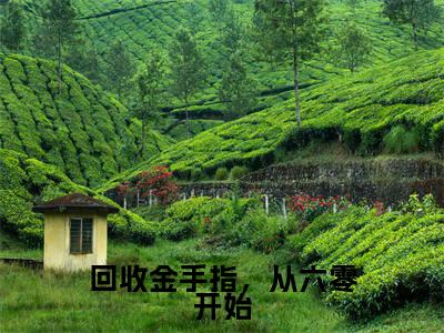 回收金手指,从六零开始热文小说全文阅读-精彩美文方圆免费阅读