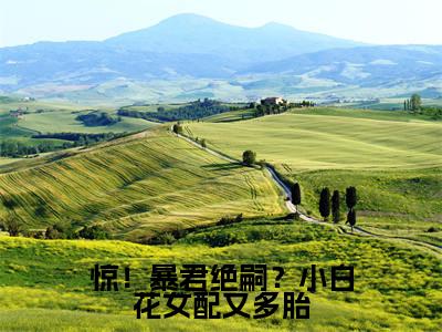 惊！暴君绝嗣？小白花女配又多胎小说（顾莞宁）小说全文免费顾莞宁读无弹窗大结局笔趣阁（惊！暴君绝嗣？小白花女配又多胎）