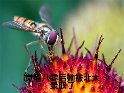 觉醒八零后她被北大录取了(宋昭禾陆琮)全文免费阅读无弹窗大结局_(觉醒八零后她被北大录取了)宋昭禾陆琮最新章节列表_笔趣阁