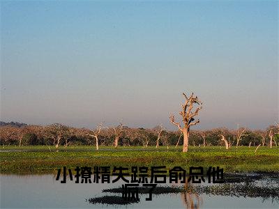 小撩精失踪后俞总他疯了（黎漫俞霁舟）全文免费阅读-（黎漫俞霁舟小说）小撩精失踪后俞总他疯了最新章节列表