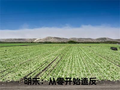 明末:从零开始造反(李毅小说)全文免费阅读无弹窗大结局_(李毅小说)明末:从零开始造反最新章节列表