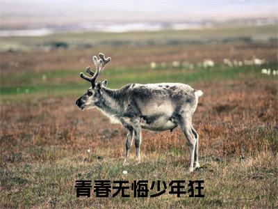 青春无悔少年狂（方倩）全文免费阅读无弹窗大结局_方倩小说最新章节列表_笔趣阁