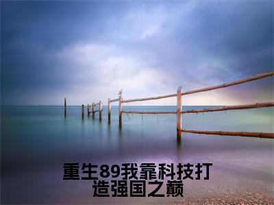 韩青（重生89我靠科技打造强国之巅）全文免费阅读无弹窗_重生89我靠科技打造强国之巅最新小说