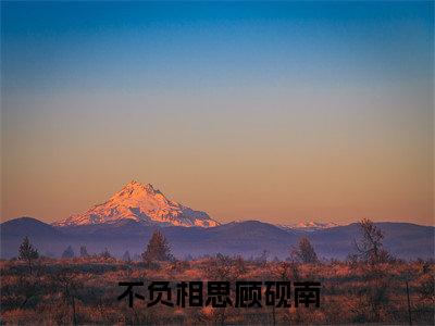不负相思顾砚南小说在线阅读(顾砚南)全文免费阅读大结局_不负相思顾砚南最新章节列表笔趣阁