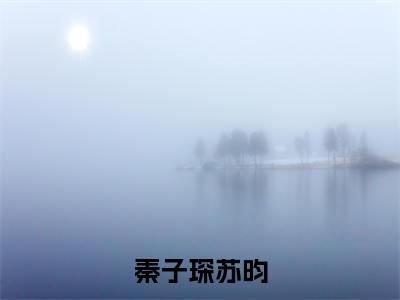 秦子琛苏昀(苏昀秦子琛)抖音热推小说全集无删减_(苏昀秦子琛免费阅读全文大结局)最新章节列表_笔趣阁