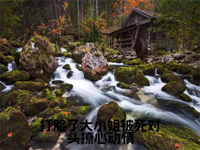 打脸了大小姐被死对头撩心动情（沈清禾）在哪免费看-打脸了大小姐被死对头撩心动情小说（沈清禾）全文完整版免费阅读