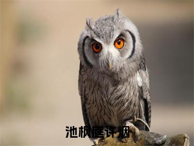 许烟池枫庭（池枫庭许烟）小说全文无删减版完整版_许烟池枫庭最新章节列表_笔趣阁