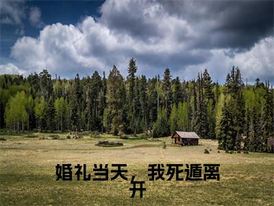 贺霆舟在哪免费看贺霆舟结局是什么(婚礼当天,我死遁离开)小说无弹窗免费阅读