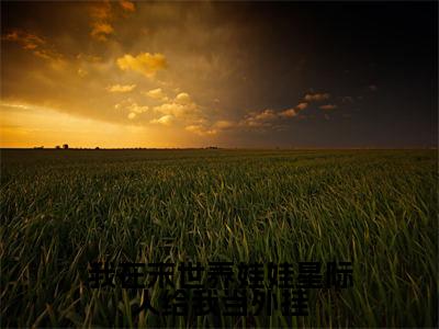 我在末世养娃娃星际人给我当外挂小说（乔安）全文免费阅读-我在末世养娃娃星际人给我当外挂全文阅读无弹窗