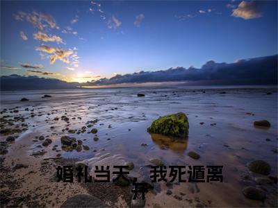 贺霆舟小说(婚礼当天,我死遁离开)全文免费阅读无弹窗大结局_贺霆舟小说最新章节列表