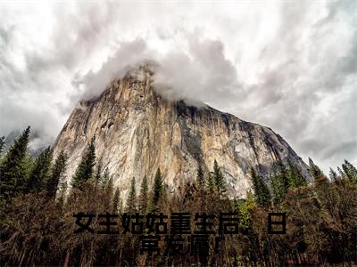女主姑姑重生后,日常发癫!(凌薇樊安)全文免费阅读无弹窗大结局_凌薇樊安最新章节列表_笔趣阁(凌薇樊安)