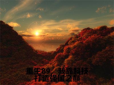 重生89，我靠科技打造强国之巅韩青小说热门全集在线观看重生89，我靠科技打造强国之巅免费章节试读