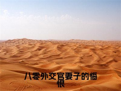 八零外交官妻子的悔恨（闻哲远）全文免费阅读无弹窗大结局_闻哲远_笔趣阁