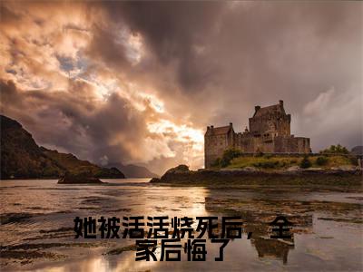 她被活活烧死后，全家后悔了是什么小说_主角是（慕时安虞疏晚）的小说（她被活活烧死后，全家后悔了）最新章节无弹窗阅读