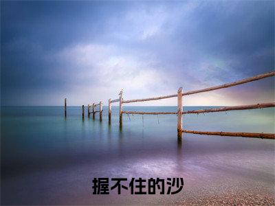苏菀沈怀川（握不住的沙）全文在线阅读无弹窗大结局_握不住的沙全文无弹窗最新章节列表