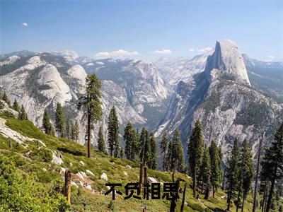 不负相思(顾砚南)全文免费阅读无弹窗_不负相思(顾砚南小说完整版)最新章节列表