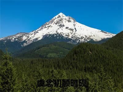 虞念初顾时砚（顾时砚虞念初）全文免费阅读无弹窗大结局_虞念初顾时砚全文免费阅读无弹窗最新章节列表