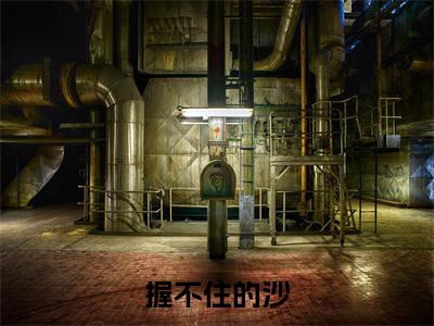 苏菀沈怀川最新完结免费阅读-握不住的沙悬疑小说在线阅读