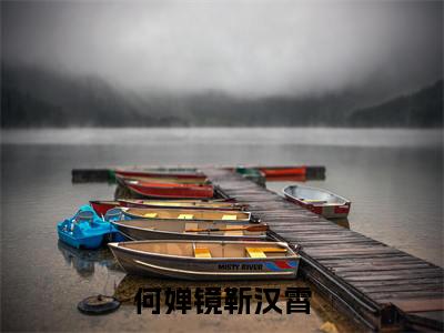 何婵镜靳汉霄（靳汉霄何婵镜）全文免费阅读_何婵镜靳汉霄（靳汉霄何婵镜）最新章节小说免费阅读