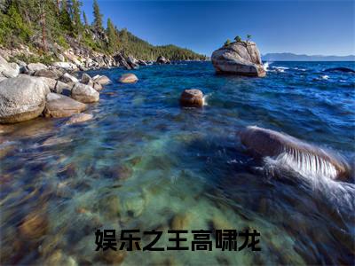 人气小说娱乐之王高啸龙在线阅读-正版小说《娱乐之王高啸龙》高啸龙全文阅读