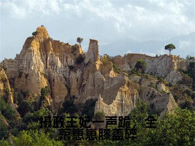 小说宁承言姜云初全文免费阅读无弹窗大结局-摄政王妃一声跪，全京崽崽膝盖碎在线阅读