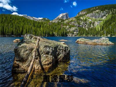 重逢是梦精彩章节免费阅读_（乔书慈）重逢是梦抖音热推小说最新章节阅读
