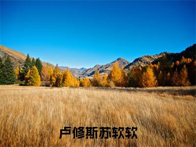 卢修斯苏软软（苏软软卢修斯）小说全文免费阅读正版无弹窗_（苏软软卢修斯）免费阅读无弹窗最新章节列表
