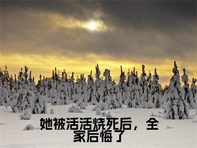 她被活活烧死后，全家后悔了（慕时安虞疏晚）小说精彩免费内容_她被活活烧死后，全家后悔了最新章节全文阅读（慕时安虞疏晚）