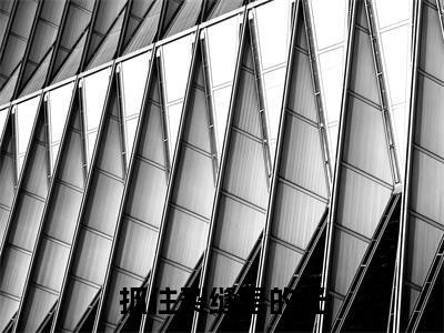 抓住裂缝里的光（贺微月）全文免费阅读无弹窗大结局_贺微月免费阅读最新章节列表_笔趣阁
