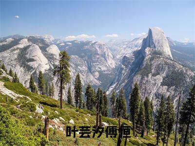 傅恒叶芸汐全文免费阅读大结局-叶芸汐傅恒最新章节列表-笔趣阁