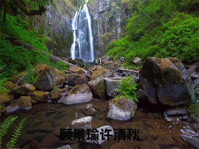 顾景瑜许清秋（顾景瑜许清秋）全文免费阅读无弹窗大结局_顾景瑜许清秋小说免费最新章节列表_笔趣阁