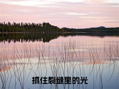 抓住裂缝里的光小说全文免费阅读无弹窗-（贺微月阅读无弹窗）穿越小说免费阅读_笔趣阁