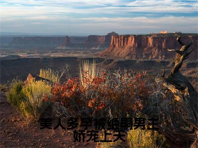 美人多孕被绝嗣男主娇宠上天（云漾）全文免费阅读无弹窗大结局_云漾_笔趣阁