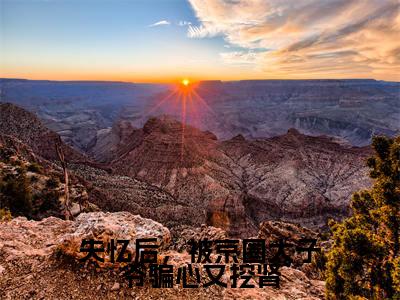 失忆后，被京圈太子爷骗心又挖肾（祁轩南锦）小说全文免费阅读_失忆后，被京圈太子爷骗心又挖肾最新章节小说免费阅读_笔趣阁祁轩南锦