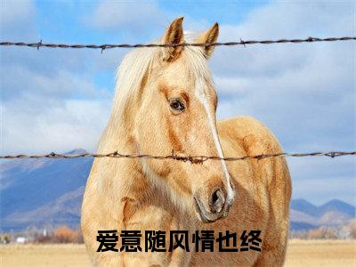 爱意随风情也终小说全文(傅茹雪姜逸年)精选免费小说_爱意随风情也终小说全文最新章节列表