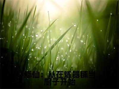 修仙：从在炼器铺当厨子开始美文欣赏完整版，陆羽精彩章节在线阅读