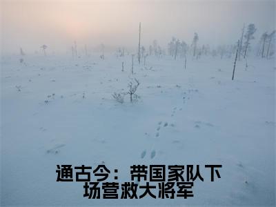 通古今:带国家队下场营救大将军(白暴雨战风渊)全文完整版免费阅读_通古今:带国家队下场营救大将军最新章节列表_笔趣阁(白暴雨战风渊)