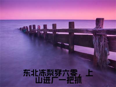 小说（东北冻梨穿六零，上山进厂一把抓）免费阅读-小说（陈青）东北冻梨穿六零，上山进厂一把抓全文在线赏析最新章节列表_笔趣阁