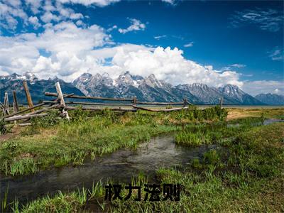 权力法则（张雨晴秦山）快手热推小说主角权力法则完整版在线阅读