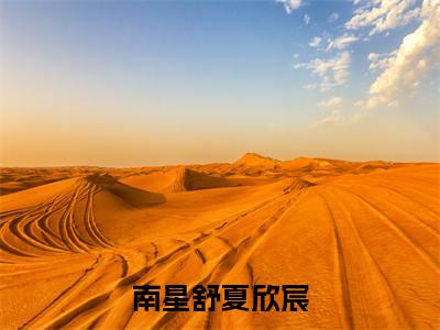南星舒夏欣宸(夏欣宸南星舒)全文无弹窗大结局_南星舒夏欣宸在线阅读无弹窗最新章节列表_笔趣阁