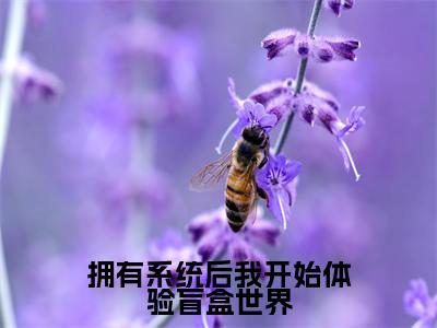 云溪云熙小说（拥有系统后我开始体验盲盒世界）完整版大结局-拥有系统后我开始体验盲盒世界小说免费阅读