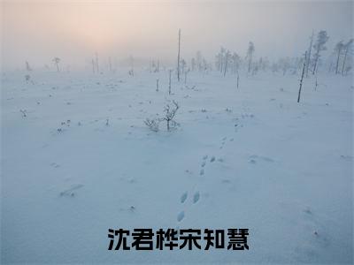 沈君桦宋知慧(宋知慧沈君桦小说)全文免费阅读无弹窗大结局-宋知慧沈君桦小说最新章节列表_笔趣阁