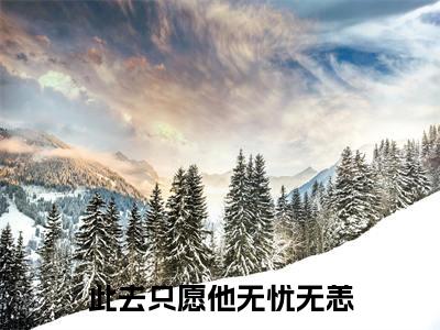精选热门此去只愿他无忧无恙全文无删减版在线阅读