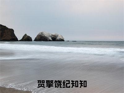 贺擎饶纪知知（纪知知贺擎饶小说全文）在线阅读无弹窗大结局-贺擎饶纪知知全文无删减版阅读