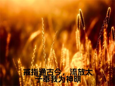 戒指通古今,流放太子奉我为神明(宋念祁御)全文免费阅读无弹窗大结局_戒指通古今,流放太子奉我为神明热门小说最新章节阅读
