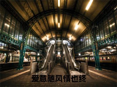 爱意随风情也终无广告免费阅读-小说姜逸年傅茹雪最后结局如何