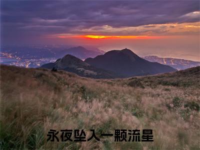 永夜坠入一颗流星在线阅读（梁悠沈砺生小说）全文免费阅读无弹窗大结局_永夜坠入一颗流星免费最新章节列表