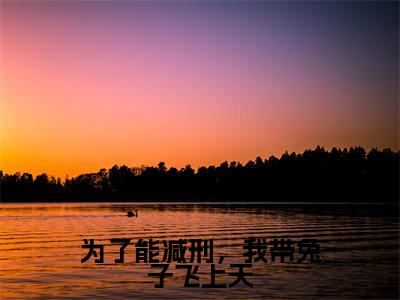 叶城(为了能减刑,我带兔子飞上天)全文免费阅读无弹窗-为了能减刑,我带兔子飞上天完整版全文在线赏析