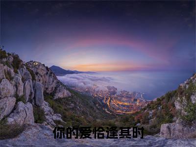 热文(你的爱恰逢其时)美文阅读_热门小说你的爱恰逢其时主人公是(林初晴贺以沉)完整版最新小说大结局_笔趣阁